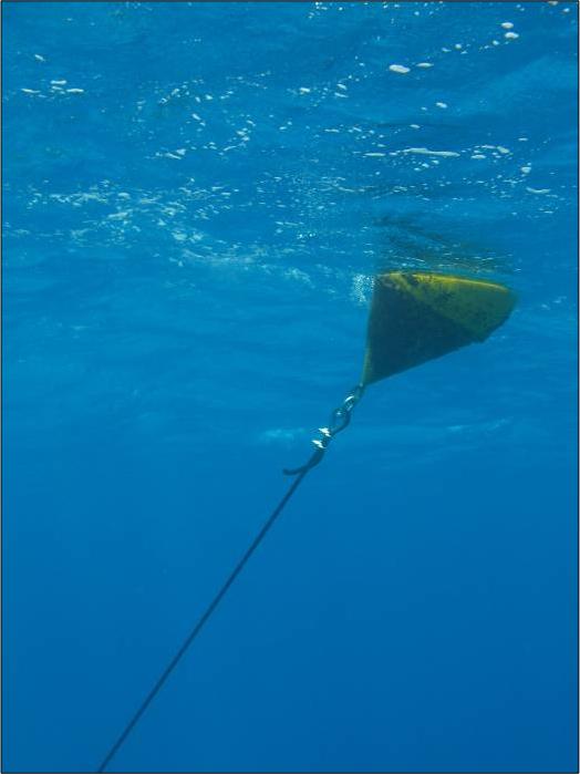 Mooring Buoys